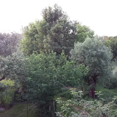 Holiday home Moorgartenhaus